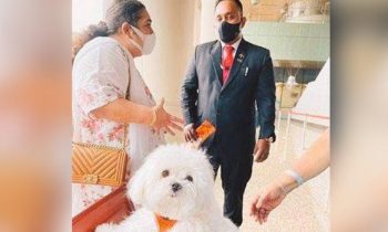 விமானத்தில்  நாயை அழைத்து வருவதற்கு பெண் செய்த செயல்!