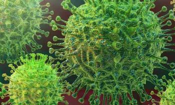 கொவிட்  தொற்றிலிருந்து மெல்ல மெல்ல மீண்டெழும் இந்தியா!