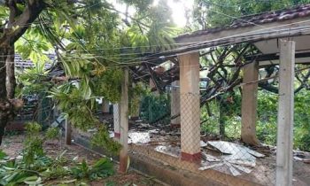 வைத்தியசாலை கட்டடத்தின்  மீது முறிந்து வீழ்ந்த மரம்.