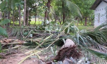 காட்டு யானையில் தொடர் தாக்குதல்களால் பலத்த சேதம்-மக்கள் கவலை.