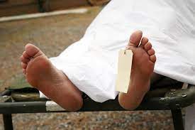 பாக்கு பறிக்க சென்ற நபருக்கு நேர்ந்த கதி!