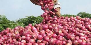 இறக்குமதி செய்யப்படும் பெரிய வெங்காயத்தின் வரியை அதிகரிக்குமாறு வெங்காய உற்பத்தியாளர்கள்  கோரிக்கை!