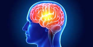 ஞாபக சக்தி அதிகரிக்க…!!!