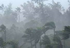 இன்றைய வானிலை தொடர்பில் வெளியான தகவல்.