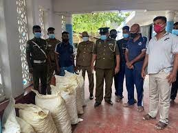 பற்றைக்குள் பதுக்கி வைக்கப்பட்டிருந்த  ஒரு தொகை மஞ்சளுடன் மூவர் கைது!