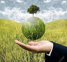 இரசாயன பசளைகள் இறக்குமதியை முழுமையாக நிறுத்தி சேதனப் பசளையூடாக மாத்திரம் பயன்படுத்த வேண்டும்.