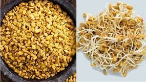 முளைகட்டிய வெந்தயம்…!!