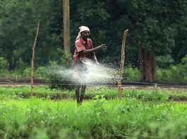 இலங்கைக்கு  இறக்குமதி செய்யப்பட   நனோ நைட்ரஜன் திரவ உரம்.