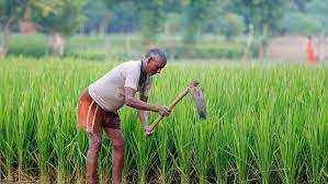 தங்களுக்கு  உரிய இரசாயன உரத்தை பெற்றுத்தருமாறு அரசாங்கத்திடம் கோரிக்கை.