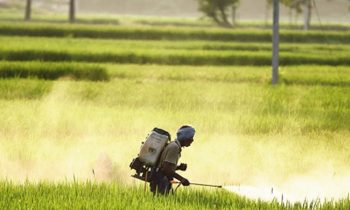 நனோ நைட்ரஜன் திரவ உரம்  தொடர்பில் வெளியாகும் போலியான தகவலை நிராகரிக்கும் விவசாய அமைச்சு.