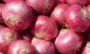 பெரிய வெங்காயத்தின் விலையும் உயர்வா?