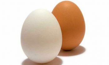 முட்டையின் விலை அதிகரிப்பு.