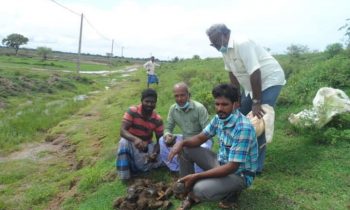 யானைக்கும்  மனிதருக்கும் இடையிலான முரண்பாட்டைத் தடுக்கும் உயிர்வேலியாக, யானைத்தடுப்பு வேலியான பனைவேலி அமைத்தல்.!
