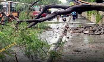 தமிழகத்தில் சீரற்ற வானிலையால் மின்சாரம் துண்டிப்பு.