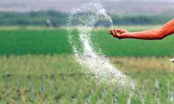 நனோ நைட்ரஜன் திரவ உரம் இறக்குமதி செய்வதற்கு அமைச்சரவை அனுமதி.