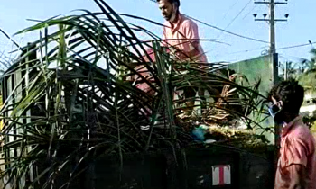 கழிவுகளை அகற்றும் முகாமைத்துவப் பணி.