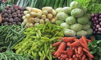 சந்தையில் பச்சை மிளகாய் கறி மிளகாய் ஆகியவற்றின் விலையில் ஓரளவு வீழ்ச்சி.