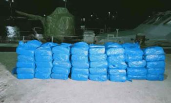 41 கிலோ கிராம் கஞ்சாவுடன் இரு நபர்கள் அதிரடி கைது.