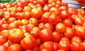 சந்தையில் தக்காளியின் விலை சடுதியாக உயர்வு.