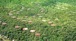 திருகோணமலை எண்ணெய்க் களஞ்சிய அபிவிருத்திக்காக புதிய நிறுவனம் நியமனம்.