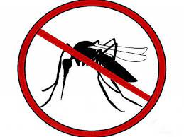 டெங்கு ஒழிப்பு விதிமுறைகளை மாற்றுவதற்கு அமைச்சரவை அனுமதி.