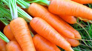 கேரட் – மருத்துவ குணங்கள்..!!