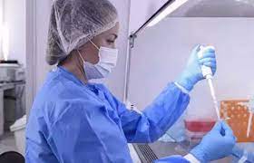 கொவிட் தொற்றிலிருந்து மெல்ல மெல்ல மீண்டெழுந்த இந்தியா.