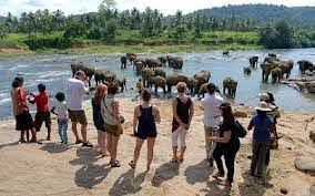 டிசம்பர் வெளிநாட்டு சுற்றுலா பயணிகளின் வருகை அதிகரிப்பு.