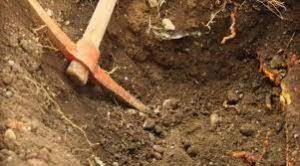 புதையல் தோண்ட முற்பட்டவர்களுக்கு நேர்ந்த கதி.