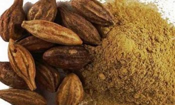 கடுக்காய் பொடி, சுக்குத்தூள், திப்பிலித்தூள் ..!!