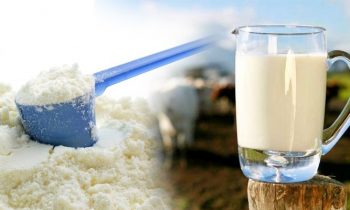 இலங்கையில் பால்மா விலை மீண்டும் அதிகரிப்பா?
