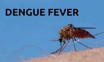 டெங்கு தொற்றால் பாதிக்கப்பட்டவர்களின் எண்ணிக்கை அதிகரிப்பு.