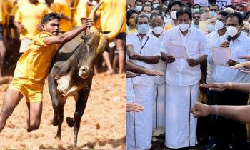 சற்றுமுன்னர் ஆரம்பமான  அலங்காநல்லூர் ஜல்லிக்கட்டு போட்டி.