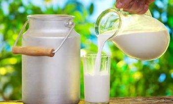 பாலின் கொள்வனவு விலை விலை தொடர்பில் வெளியான தகவல்.