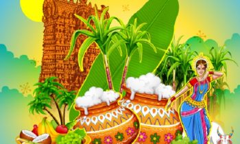 தைப்பொங்கல்.