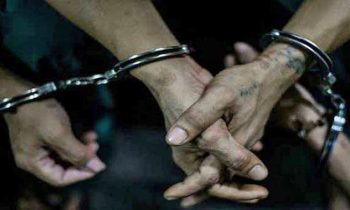 அரிய வகை மீன் இனத்தை பிடித்த குற்றச்சாட்டில் இருவர் அதிரடி கைது.