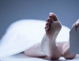 புகையிரத்தில் மோதுண்டு நபரொருவர் பலி.