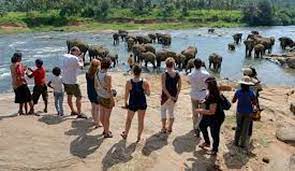 இலங்கைக்கு படையெடுக்கும் சுற்றுலா பயணிகள் தொடர்பில் வெளியான தகவல்.