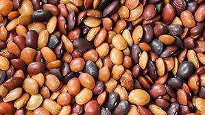 கொள்ளு மருத்துவம்..!!