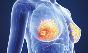 நாட்டில்  நாளாந்தம் 40 பேர் உயிரிழப்பு!