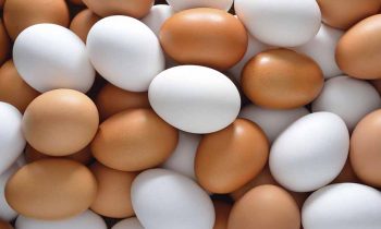 முட்டை உற்பத்தியாளர்கள் கடும் நெருக்கடியில்.