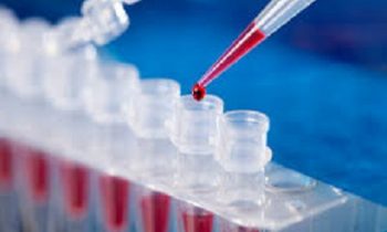 கொவிட் தொற்றிலிருந்து மெல்ல மெல்ல மீண்டெழுந்த இந்தியா..!!!