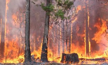 மலையகத்தின் சில பகுதிகளில் காட்டுத் தீ பரவியுள்ளது.