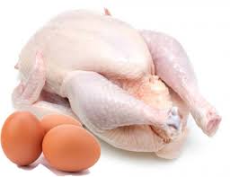 முட்டை மற்றும் கோழி இறைச்சியின் விலை குறையும்.