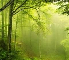 மரண யோகம் என்றால் என்ன..!!!