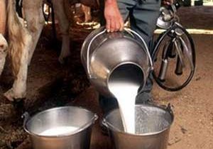 பால் உற்பத்தியாளர்கள் தொடர்பில்  வெளியான தகவல்.