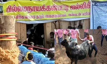 பில்லமநாயக்கன்பட்டி ஜல்லிக்கட்டில் சீறி பாயும் காளைகள்.