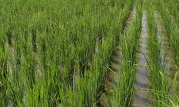 இயற்கை வேளாண்மையை ஊக்குவிக்க ரூ. 400 கோடி நிதி ஒதுக்கீடு.