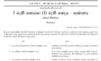 அமைச்சர்கள் தொடர்பில் வெளியான புதிய வர்த்தமானி.