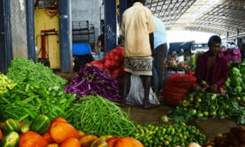 மரக்கரிகளின் விலைகள் வீழ்ச்சி.